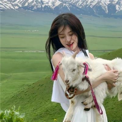 大破白莲教粤语 在线观看